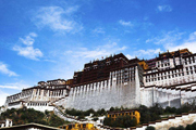 西藏自治区分院